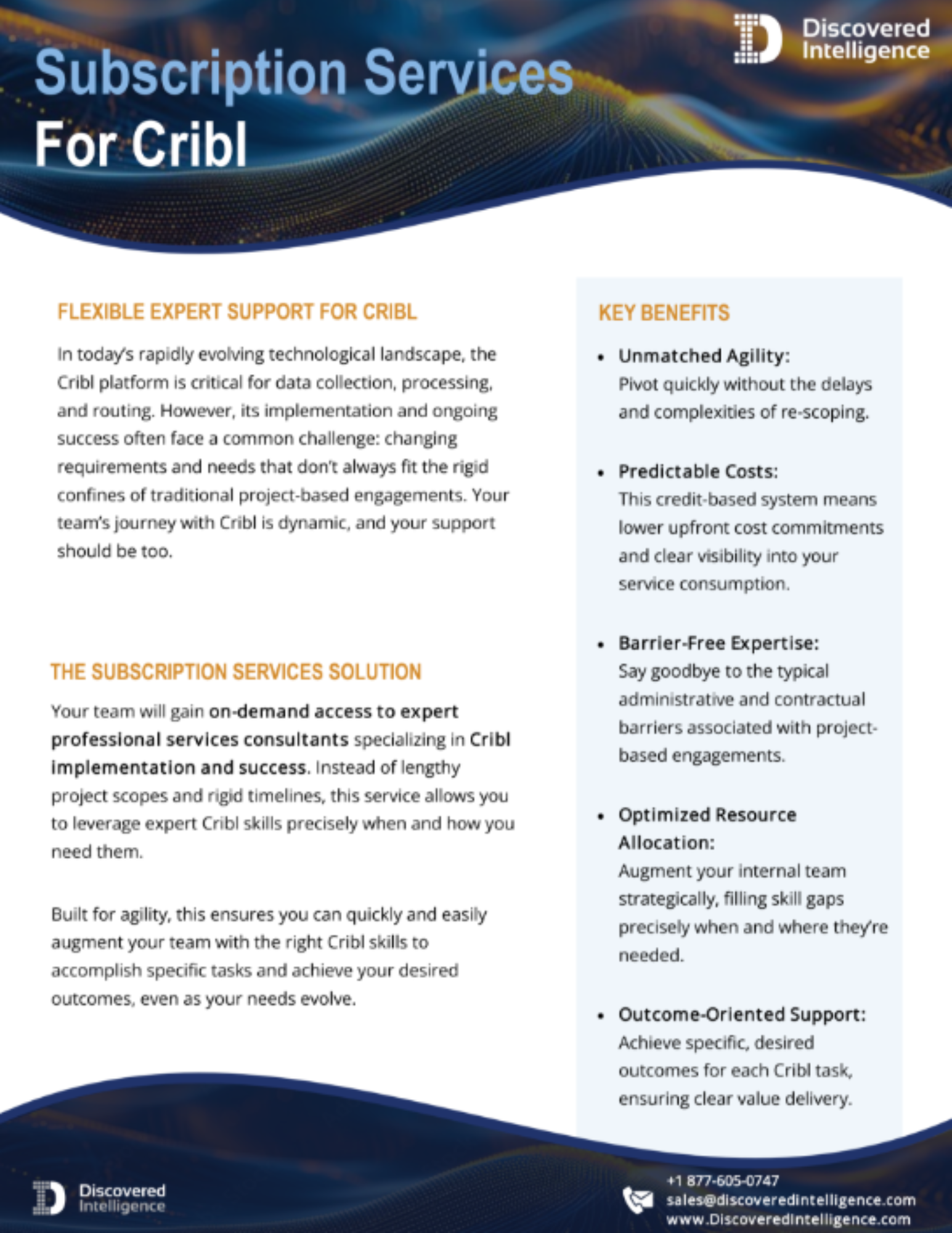 cribl subscription services program outline